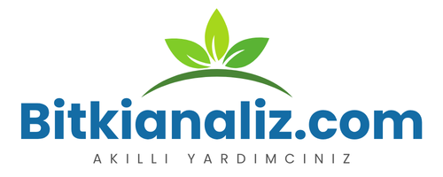 Bitkianaliz.com | Akıllı Yardımcınız